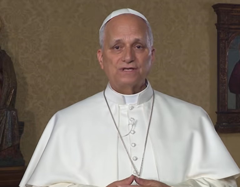 El Papa: La paz se ve amenazada por la falta de respeto a la creación