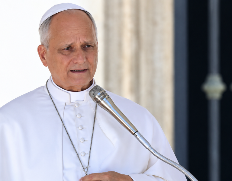 El Papa: El auténtico progreso está orientado a la caridad y la defensa de la dignidad